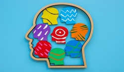 Wooden outline of head with different coloured heads inside
